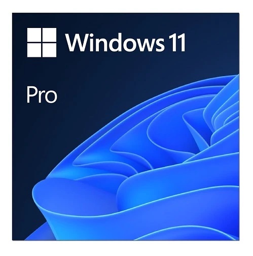 Mostrarte En cantidad Leopardo Licencia WINDOWS 11 PRO 64BIT