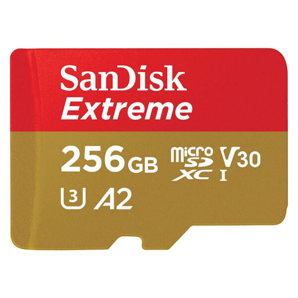 Memoria Micro SD 256GB EXTREME SanDisk 160MBS
