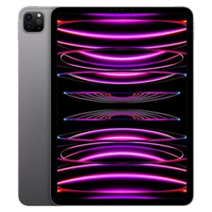 Apple iPad Pro 11 128GB WIFI M2 Imagen frontal color gris espacial