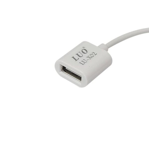 imagen de entrada usb